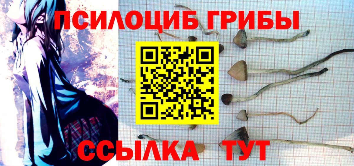 Новочебоксарск  Галлюциногенные грибы мухоморы  Вход с VPN 